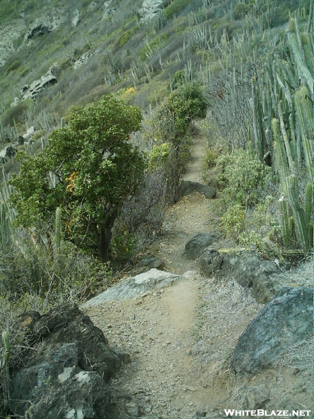 St. Bart's Hike - Path 2