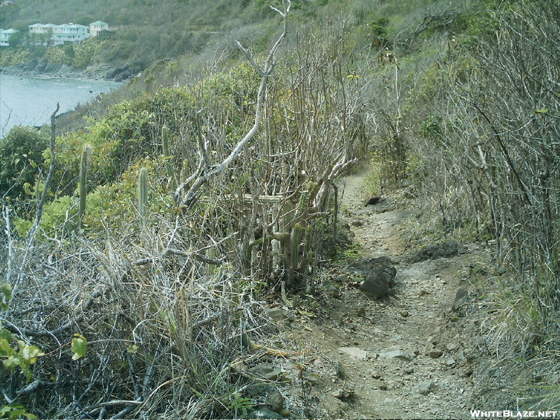St. Bart's Hike - Path