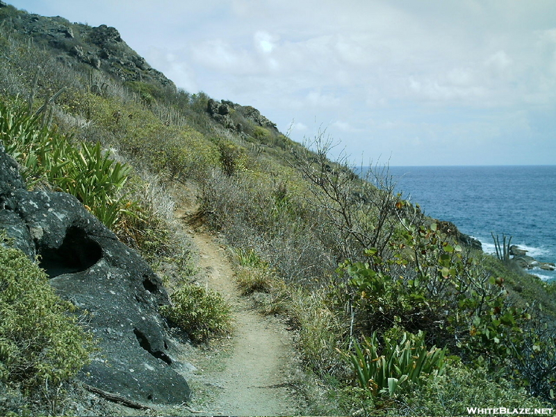 St. Bart's Hike - Path 6