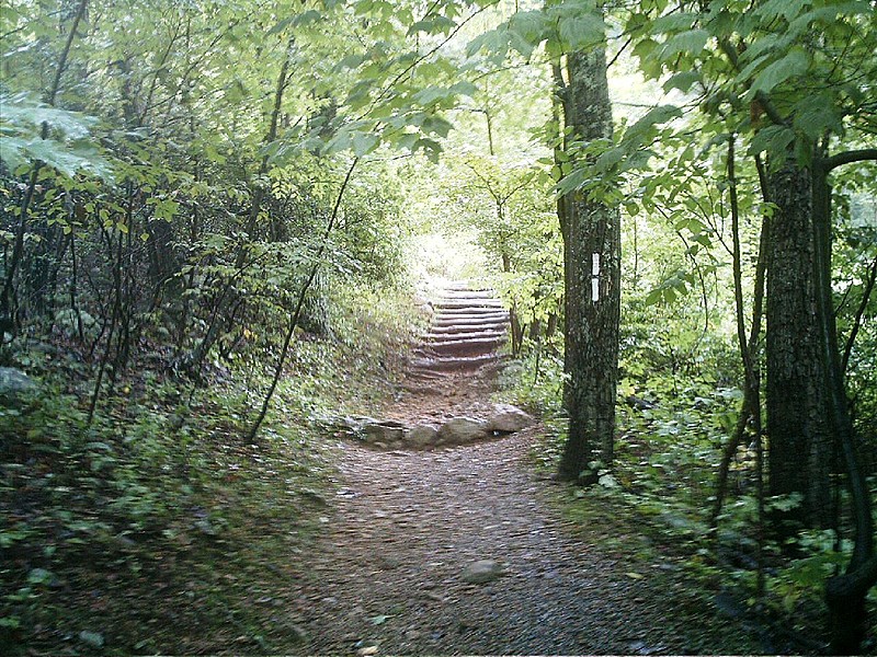 steps south of route 311 road crossing