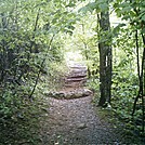 steps south of route 311 road crossing