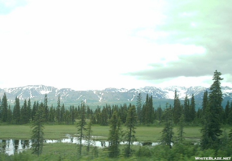 Alaska 2008 - Mountain View