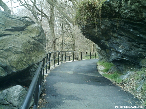 Wissahickon Clean-up