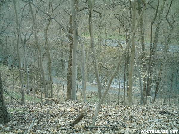 Wissahickon Clean-up