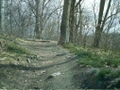 Wissahickon Clean-up by camojack in Maintenence Workers