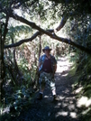 Hiking In Hawaii 2008 by camojack in Other Trails