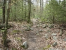 Trail leading south to RTE 16