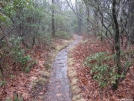 Trail down Standing Indian Mtn by white rabbit in Trail & Blazes in North Carolina & Tennessee