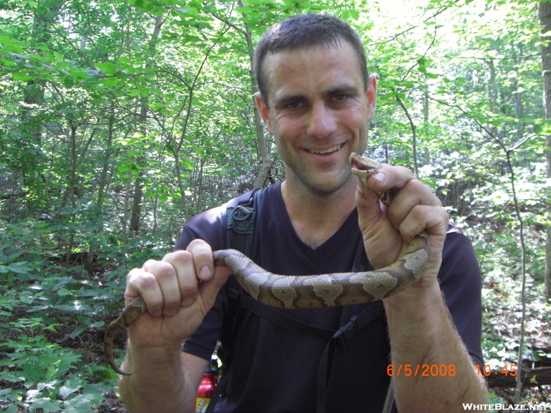 Wrongway And A Copperhead Friend