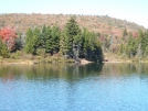 Stratton Pond Beaver Lodge