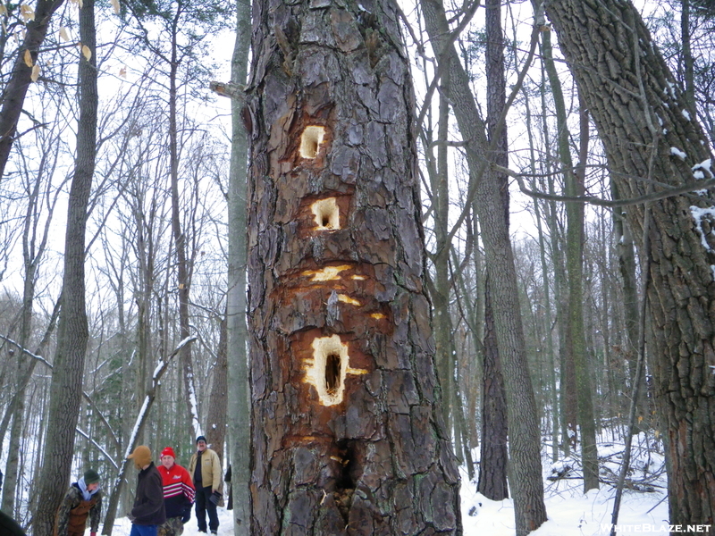 Old Mans Cave Annual Winter Hike