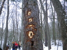 Old Mans Cave Annual Winter Hike