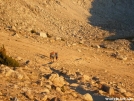 family hike on the JMT '06