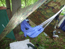 My Trusty Ole Byer And Guide Gear Tarp by Wandering Bard in Hammock camping