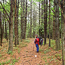 AT 06 by Mountain Mike in Section Hikers