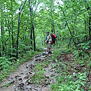 AT 06 by Mountain Mike in Section Hikers