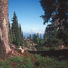 St Helens by Mountain Mike in Pacific Crest Trail