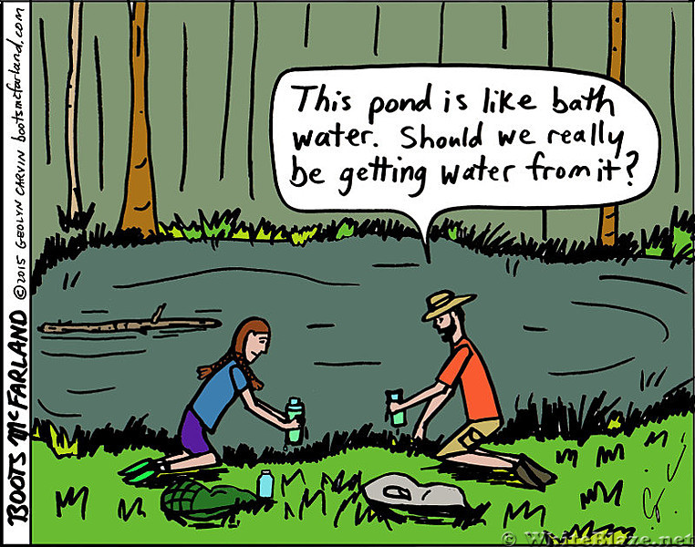 Pond Water