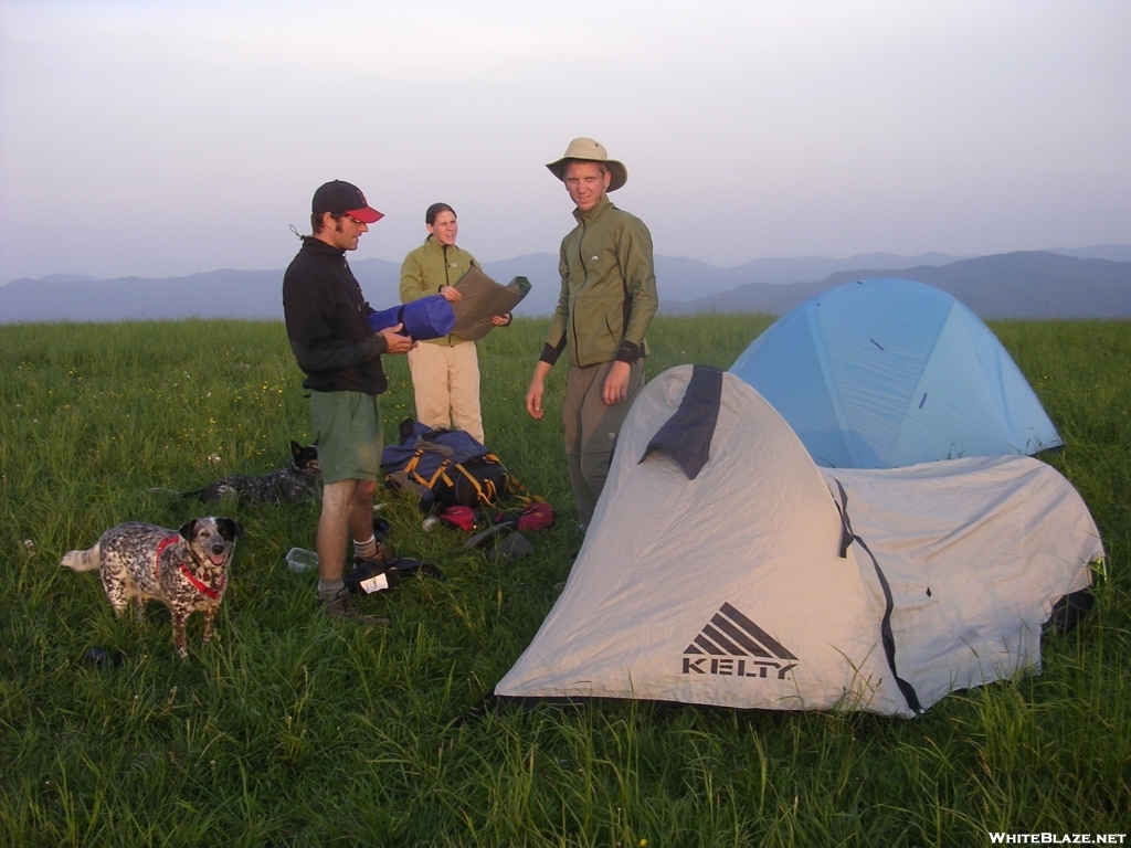 Max Patch