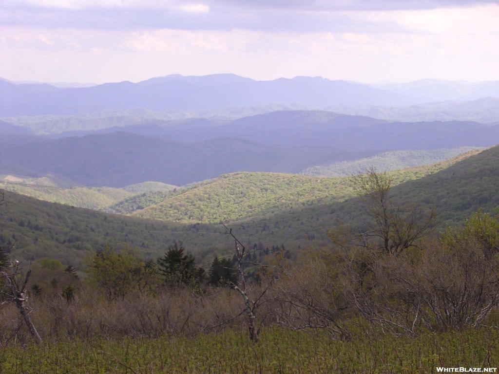 View from Wilburn Ridge