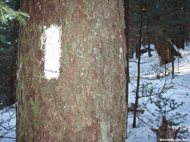 Roan Mountain Traverse Dec 2009