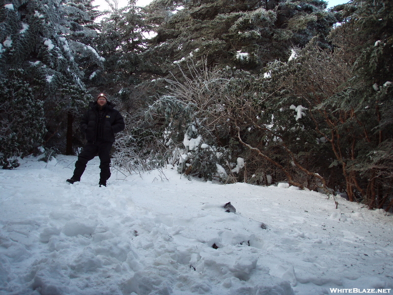 Roan Mountain Traverse Dec 2009