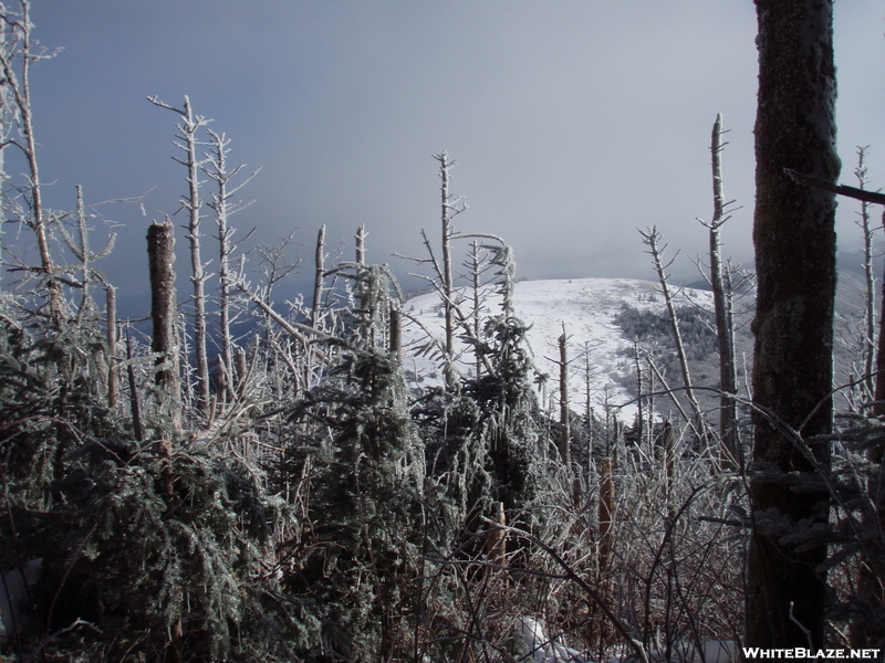 Roan Mountain Traverse Dec 2009