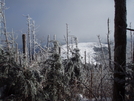 Roan Mountain Traverse Dec 2009 by Yonah Ada-Hi in Trail & Blazes in North Carolina & Tennessee