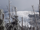 Roan Mountain Traverse Dec 2009 by Yonah Ada-Hi in Trail & Blazes in North Carolina & Tennessee