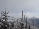 Roan Mountain Traverse Dec 2009