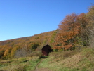 Fall Foliage '08 by mountain squid in North Carolina & Tennessee Shelters