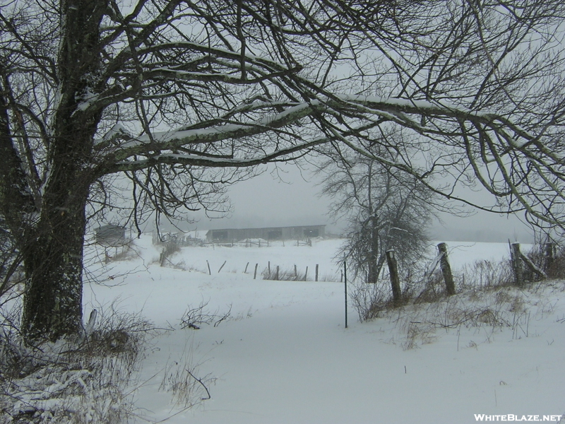 Winter in TN '09