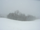 Winter in TN '09