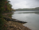 Fall Foliage in TN '09