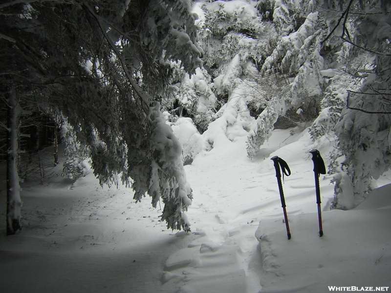 Winter in TN '10