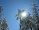 Winter on Roan Mountain, TN '10 by mountain squid in Views in North Carolina & Tennessee