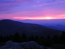 Roan Highlands TN/NC, 6/24/10 by mountain squid in Views in North Carolina & Tennessee