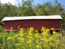 AT Maintenance 9/7/10 by mountain squid in North Carolina & Tennessee Shelters