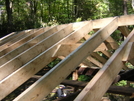 Curley Maple Gap Shelter, TN 10/6/10