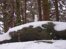 at Roan High Knob, TN 12/11/10