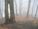 Winter in TN '11 by mountain squid in Trail & Blazes in North Carolina & Tennessee