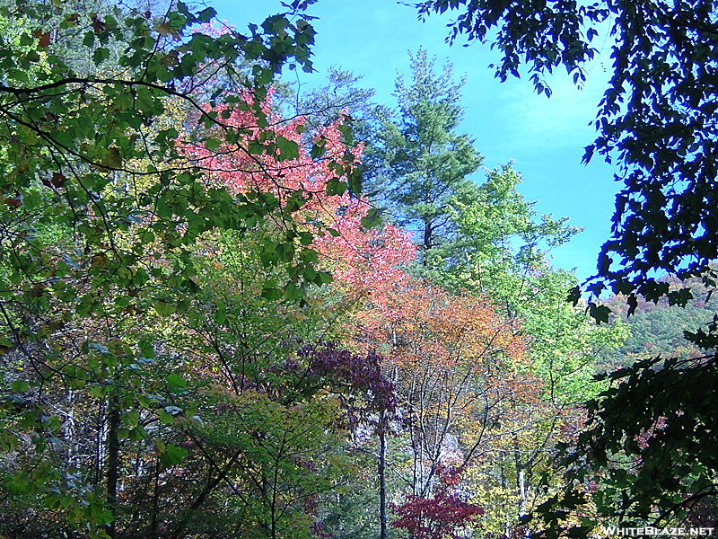 Laurel Fork Gorge, TN, 10/9/11