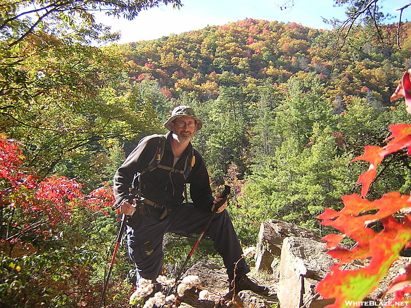 mt squid in Laurel Fork Gorge, TN, 10/9/11