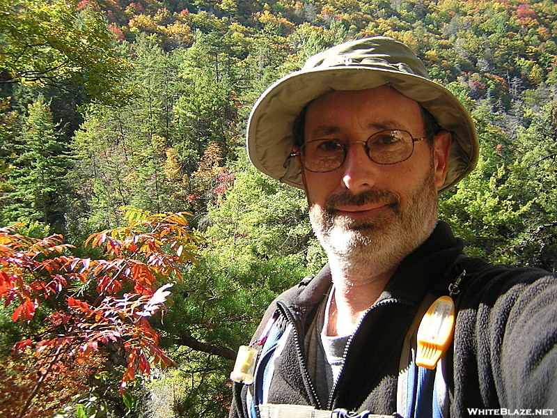 mt squid in Laurel Fork Gorge, TN, 10/9/11