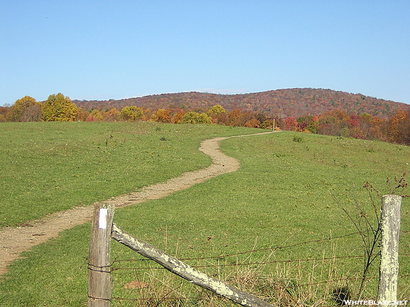 Osborne Farm, TN, 10/16/11