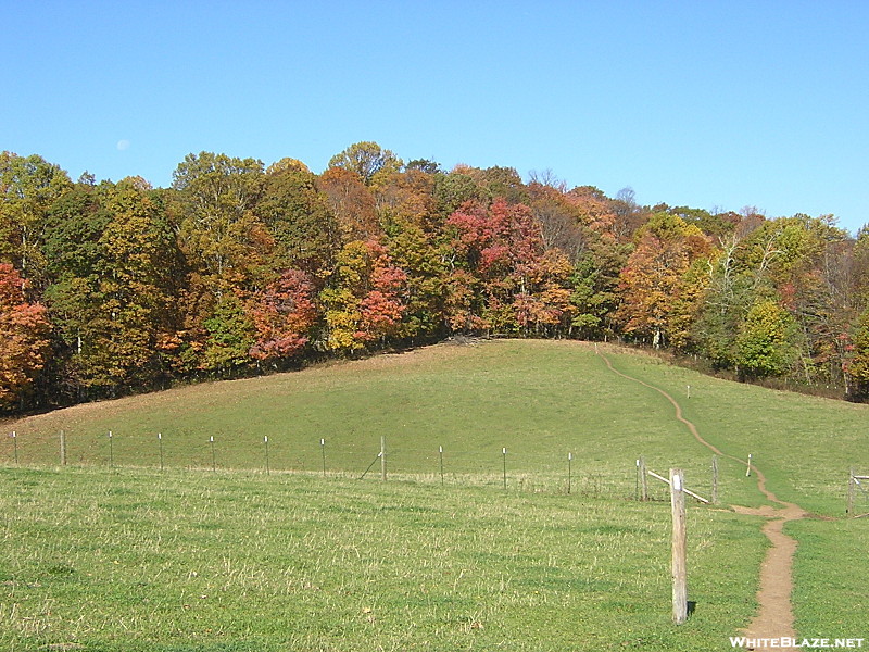 Osborne Farm, TN, 10/16/11