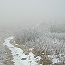 on Round Bald, TN/NC 12/10/11 by mountain squid in Views in North Carolina & Tennessee