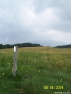 Max Patch 06