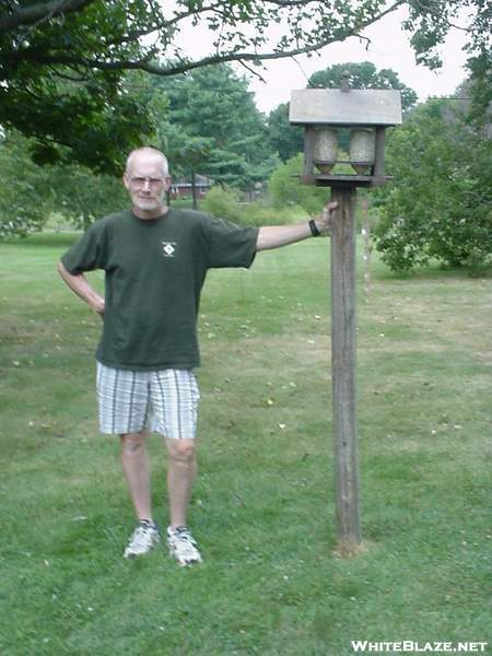 Checking The Bird Feeders