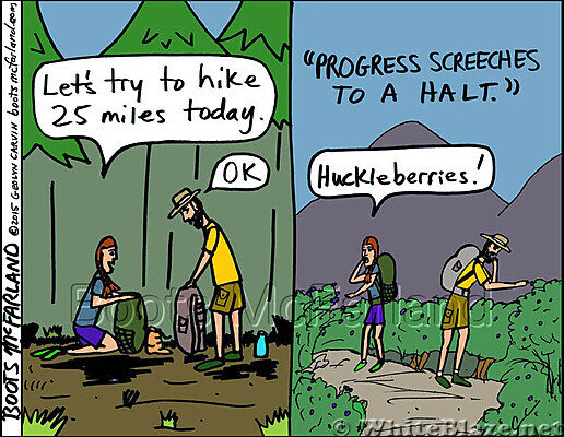 Huckleberries